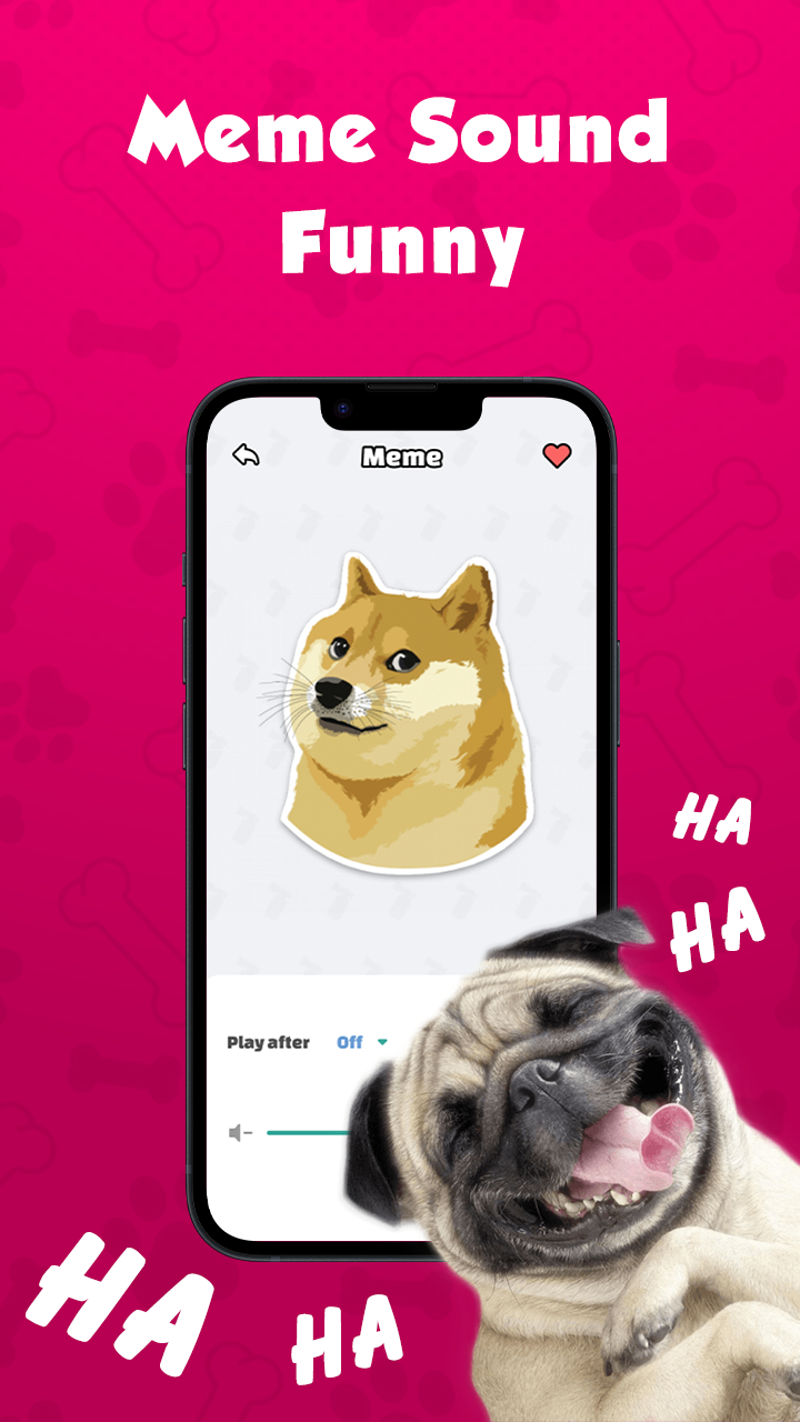 APP NAME